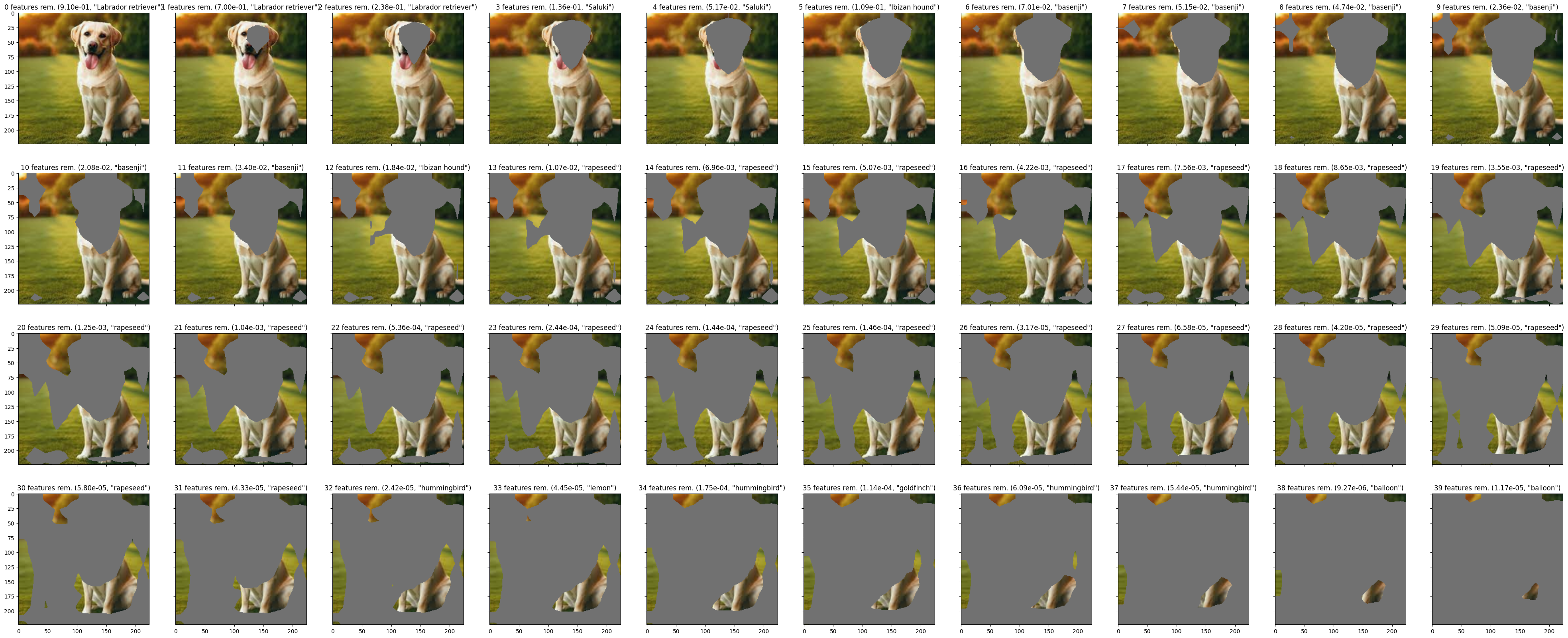 GradCAM Labrador Feature Removal